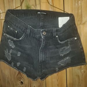 Zara shorty shorts